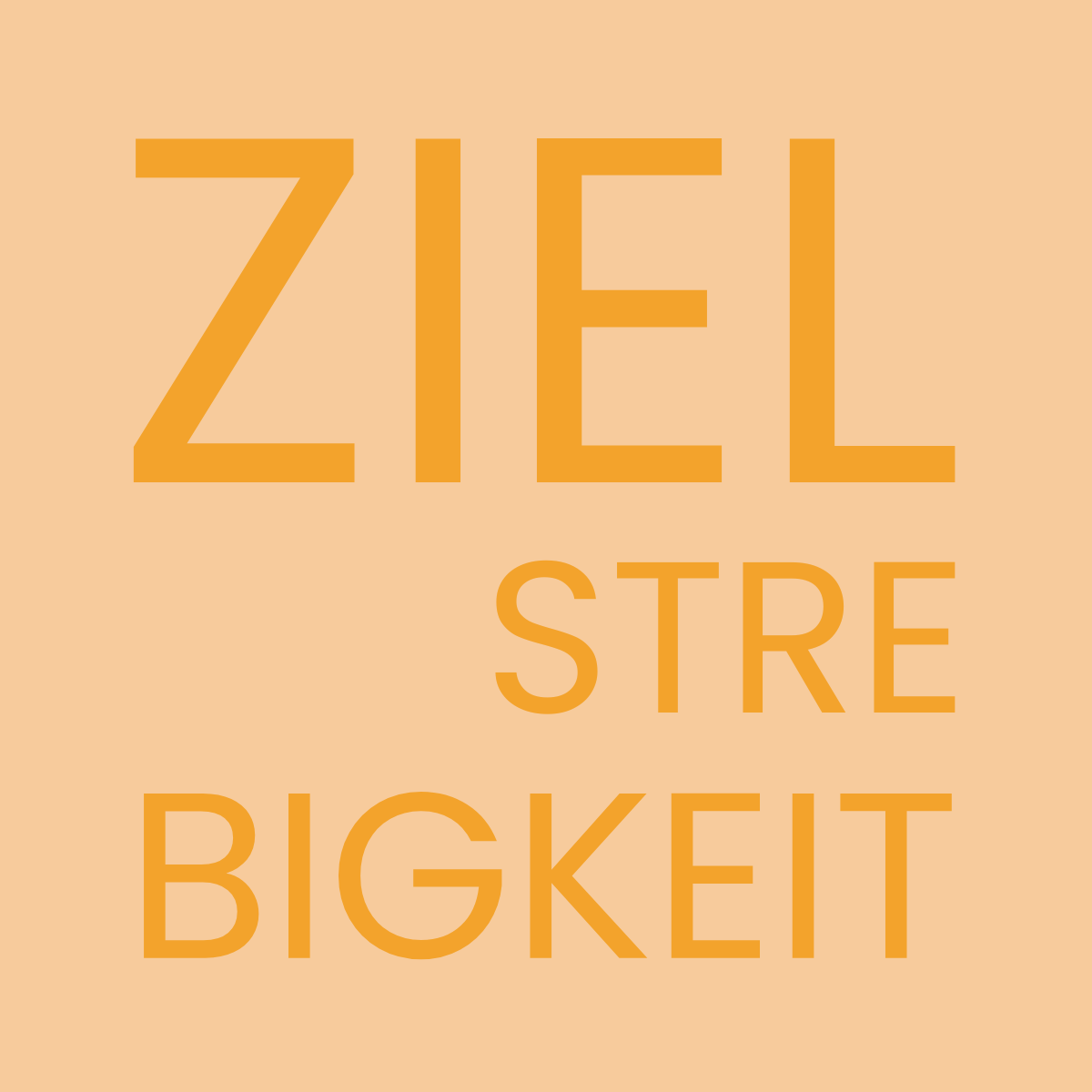 04_Zielstrebigkeit